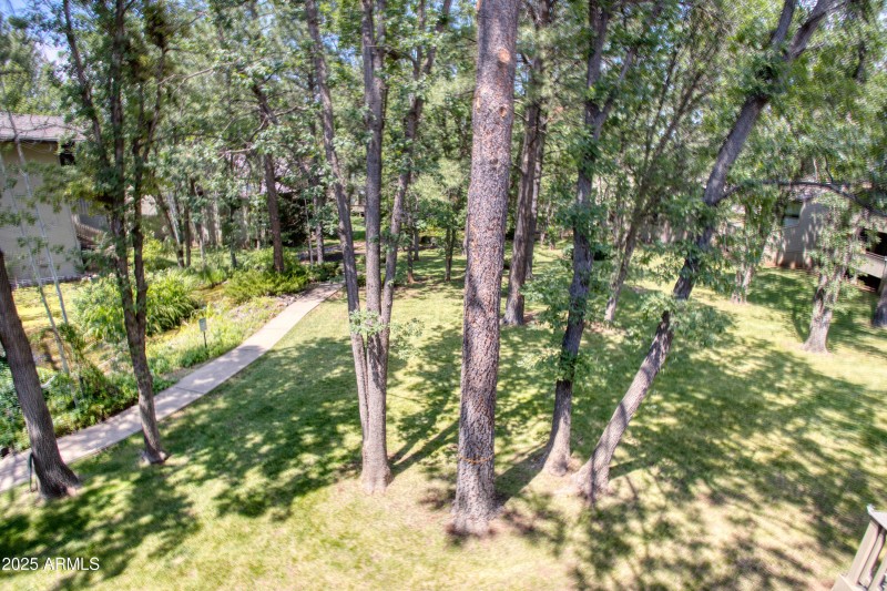 Paxmanphoto_PAX_9283