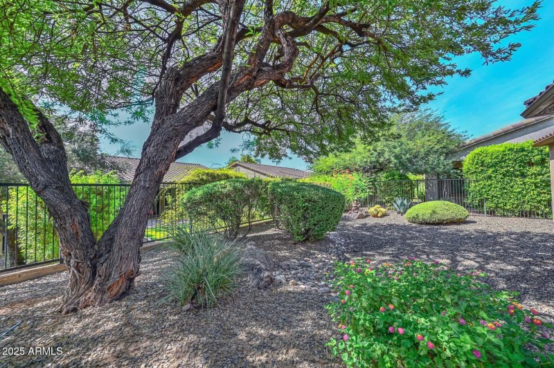 Backyard-View Fence