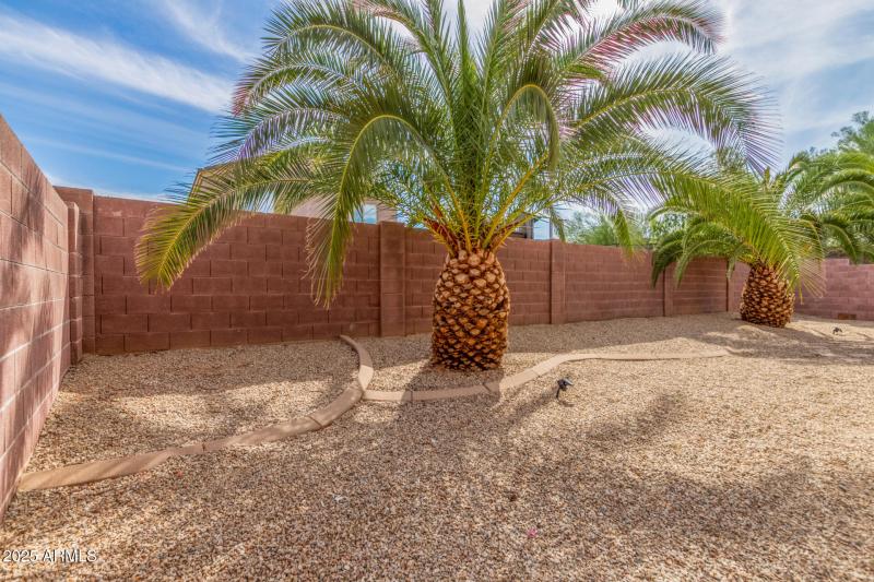 Nice shady Palms!