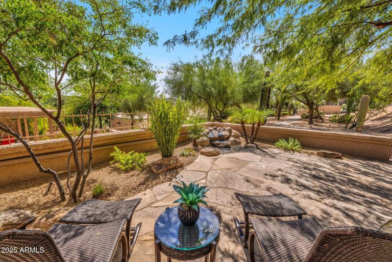 Backyard and water feature