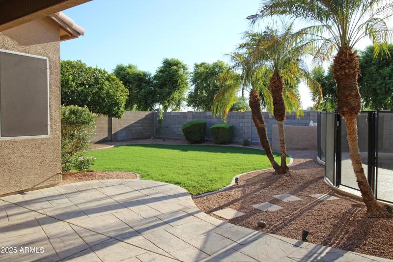 Backyard