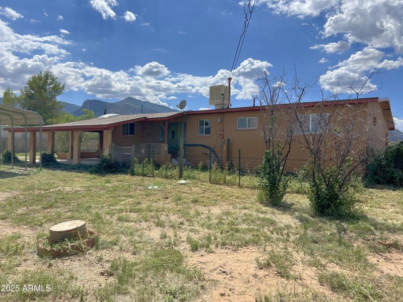 3 Back Yard - 7
