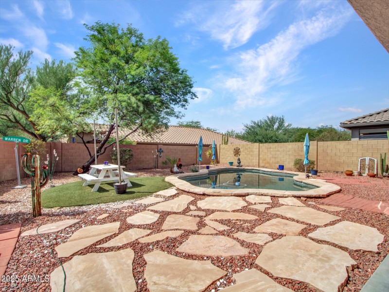 Backyard 1