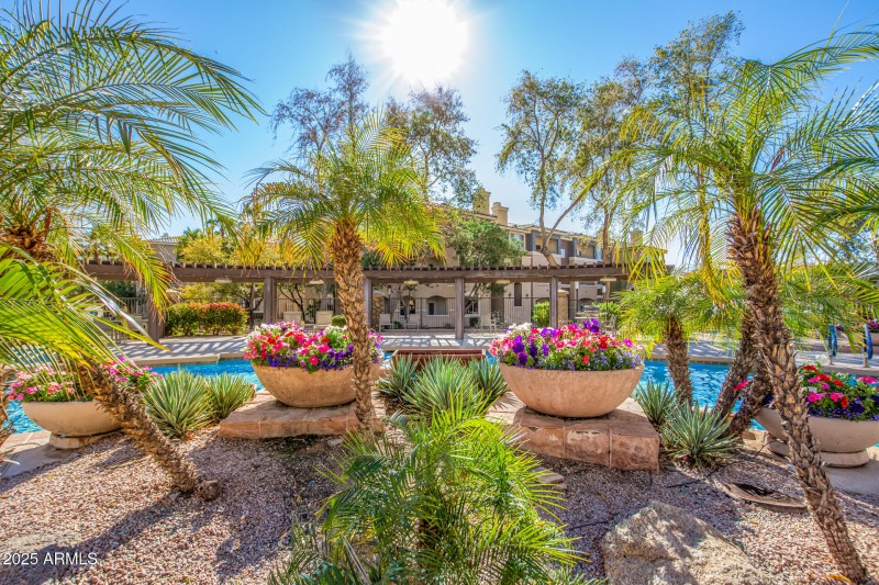 5345 Pool with flowers