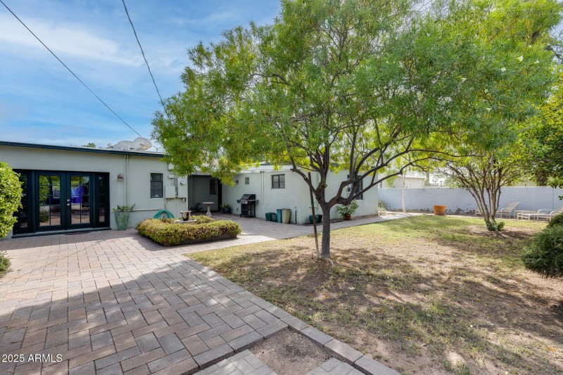 Backyard / Back of Home