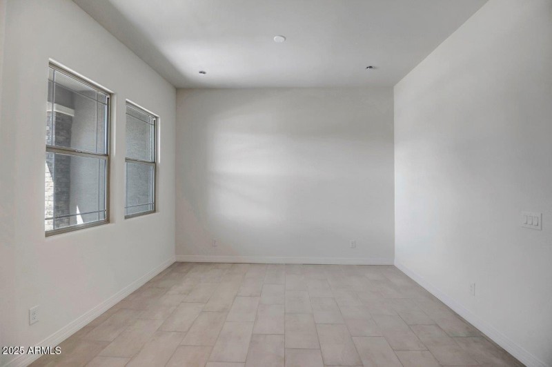 Palo Verde 343 (4)