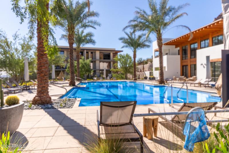 42 - Phoenician