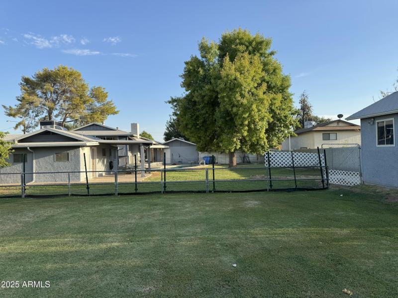 Backyard
