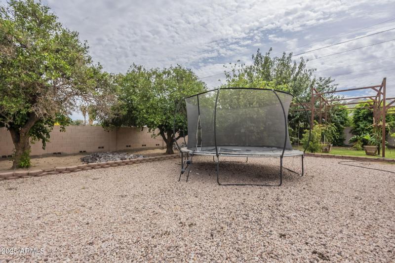 79-web-or-mls-Starflower-8