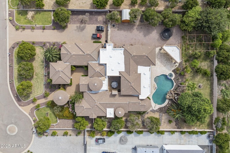 100-web-or-mls-Starflower-75