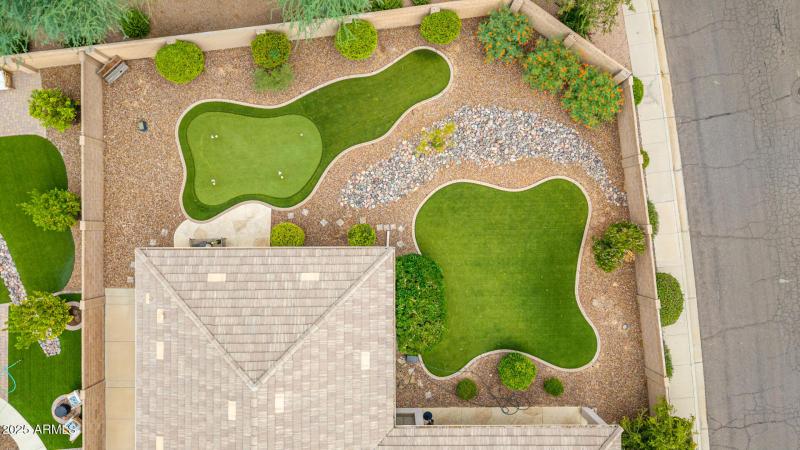 52 - Salt Cedar Aerials