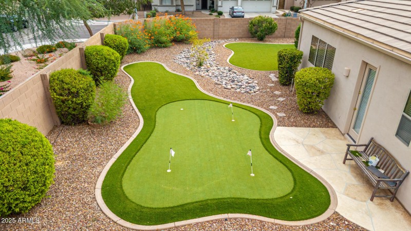 55 - Salt Cedar Aerials