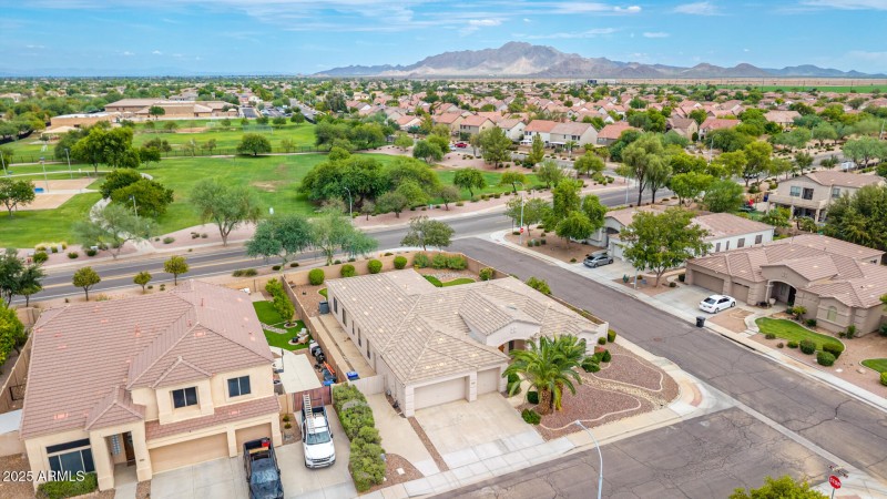 60 - Salt Cedar Aerials