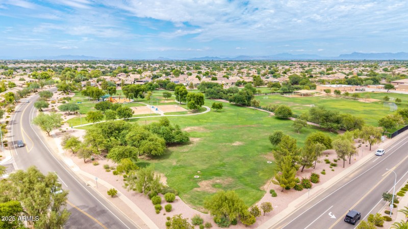 62 - Salt Cedar Aerials