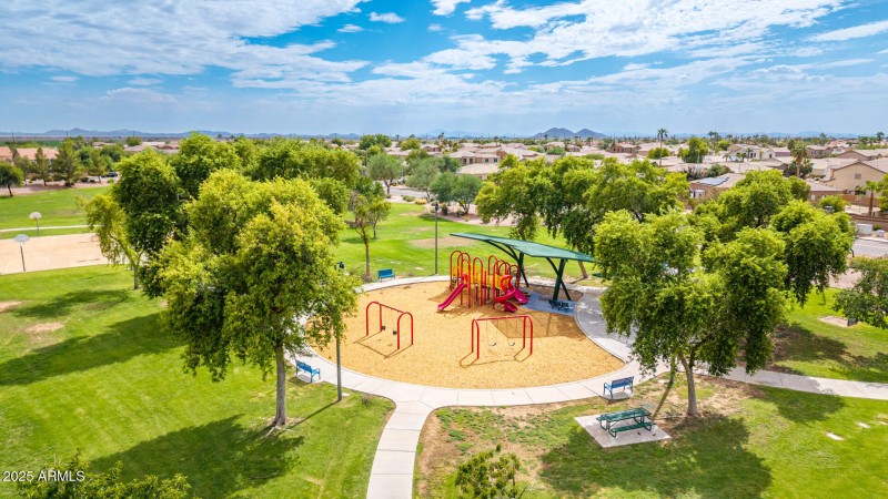 64 - Salt Cedar Aerials