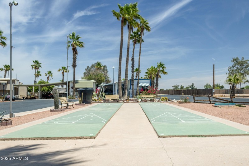 Safari MHP Shuffleboard