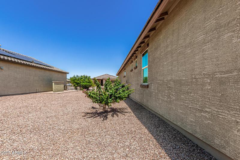 38 Mesquite