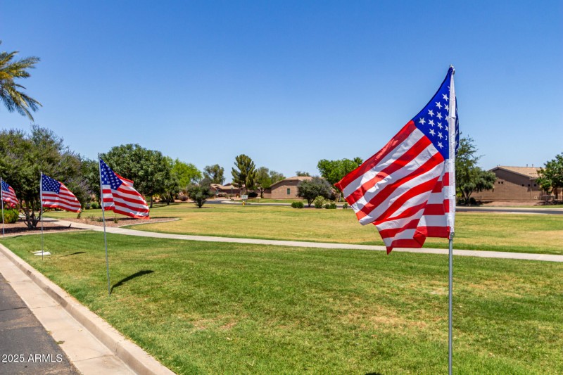 43 Mesquite
