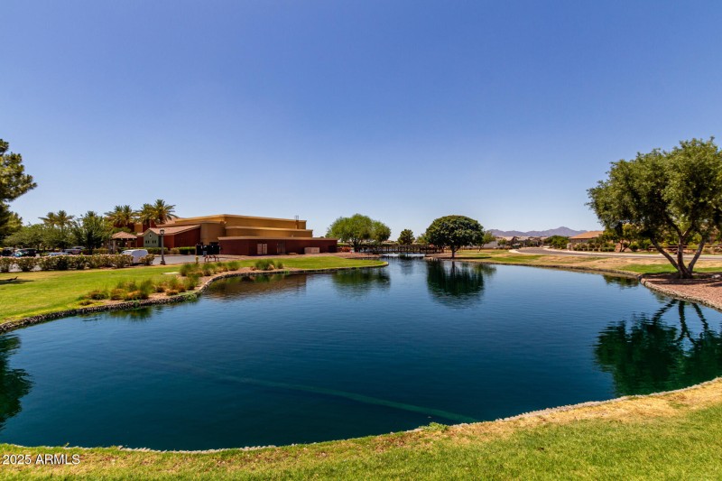 45 Mesquite