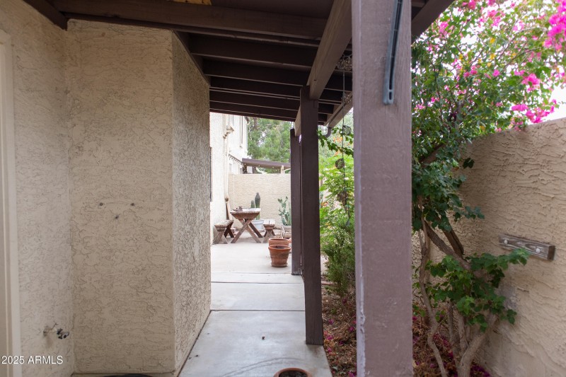 rear courtyard