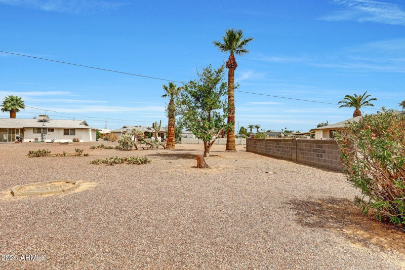 Backyard
