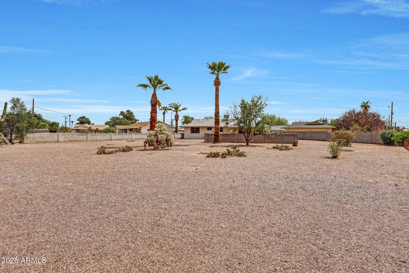 Backyard