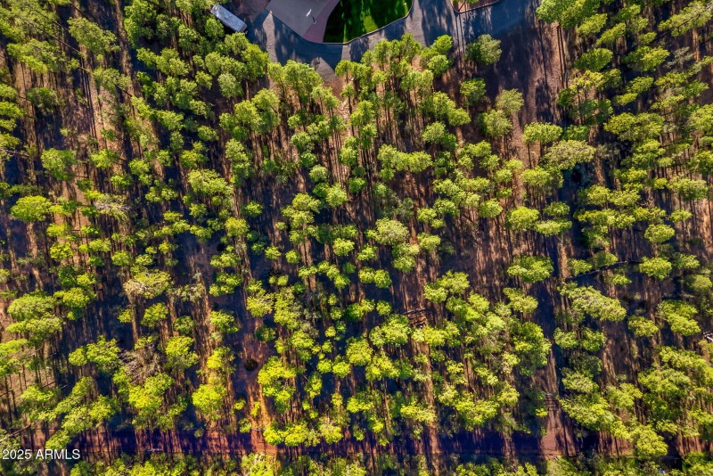 Drone Property