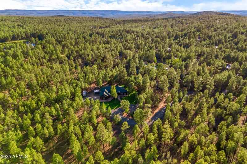 Drone Trees