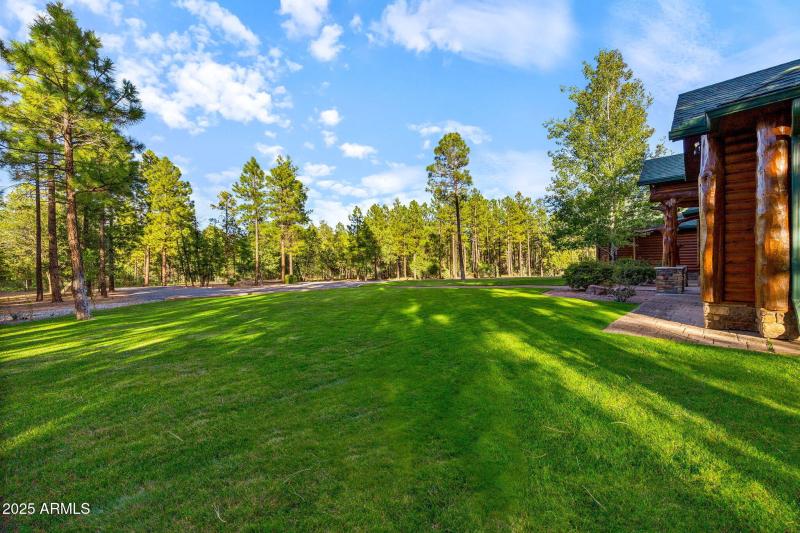 Gorgeous Lawn