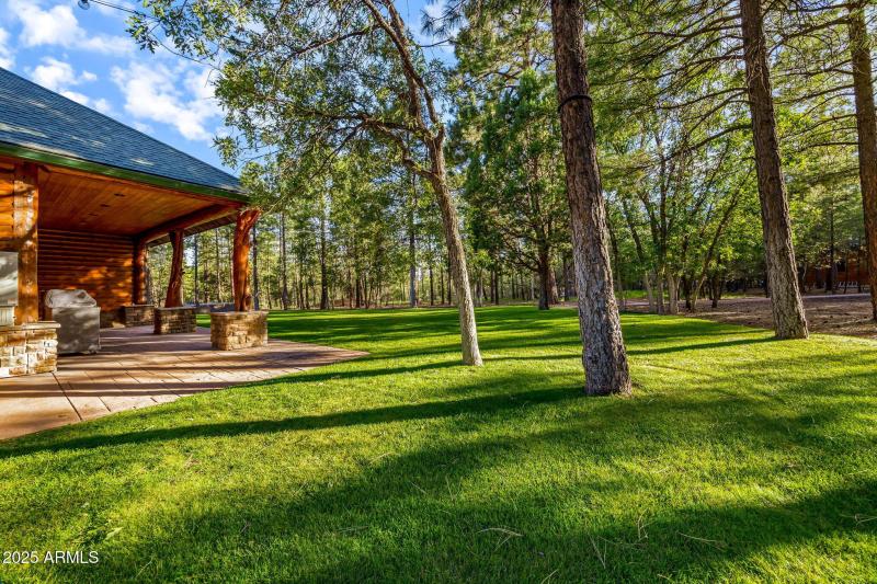 Patio Lawn Space