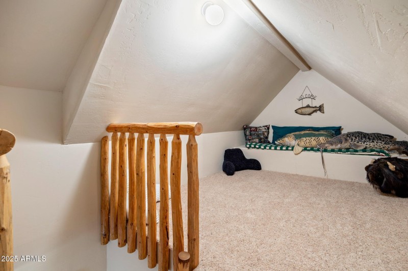 1466LowMountainTrail-HeberOvergaard-AZ-3