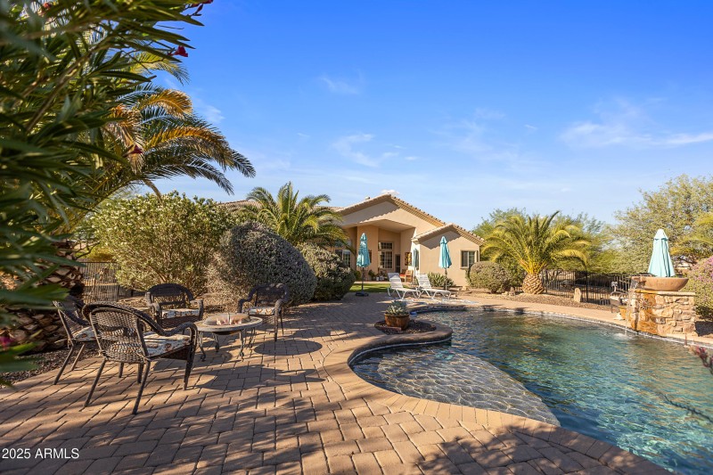 Backyard Oasis