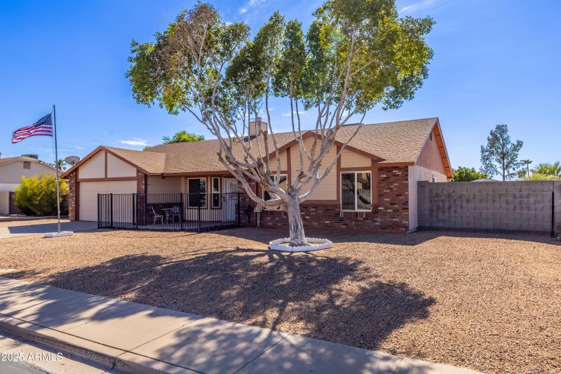 1626 N Pinnule-02