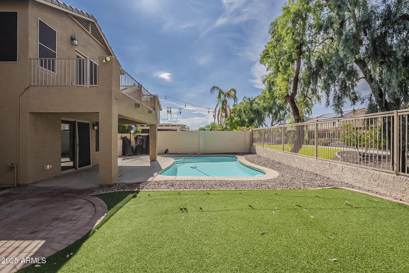 Back yard 3