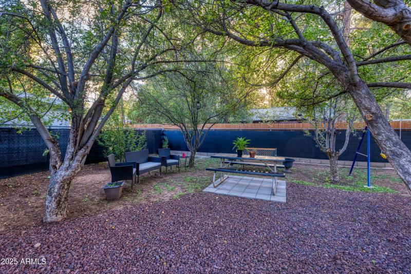 Backyard