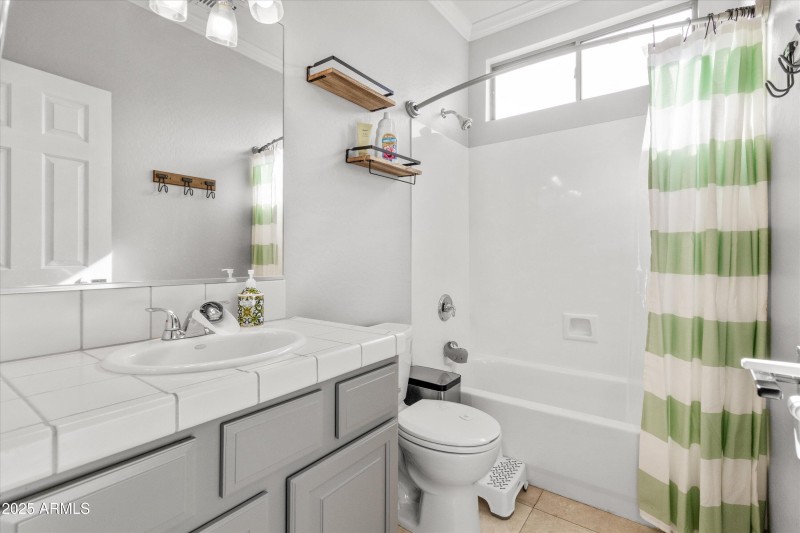 Guest bathroom 1