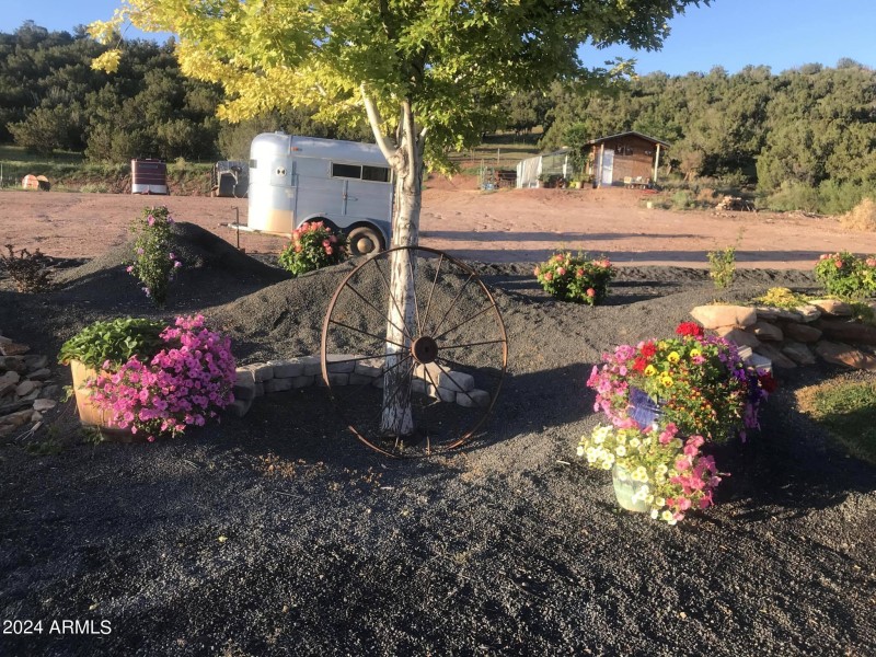flower view outback