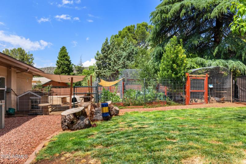 54-Backyard