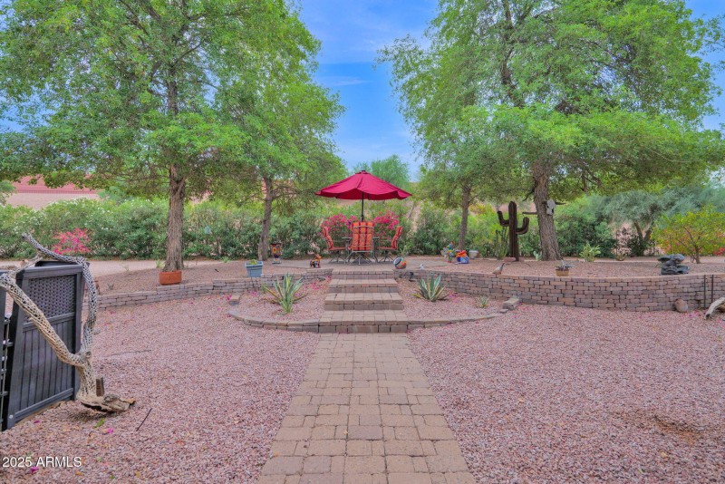 Backyard