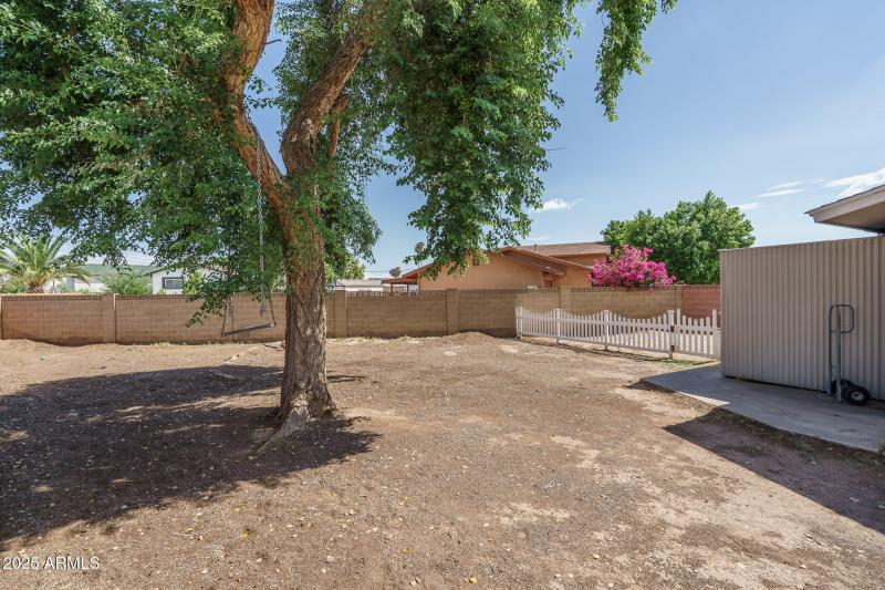 22) BACKYARD