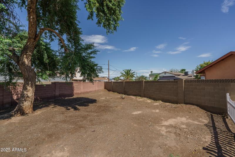 32) BACKYARD