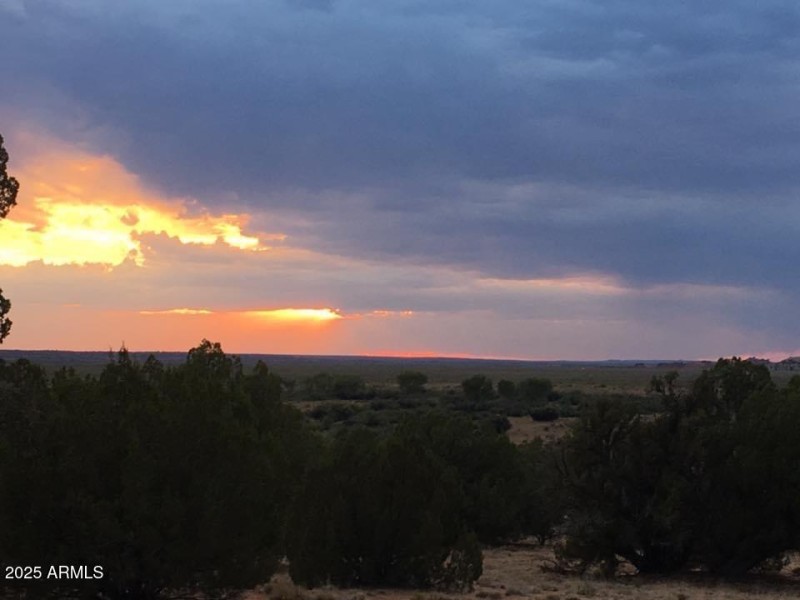 Sunset 5