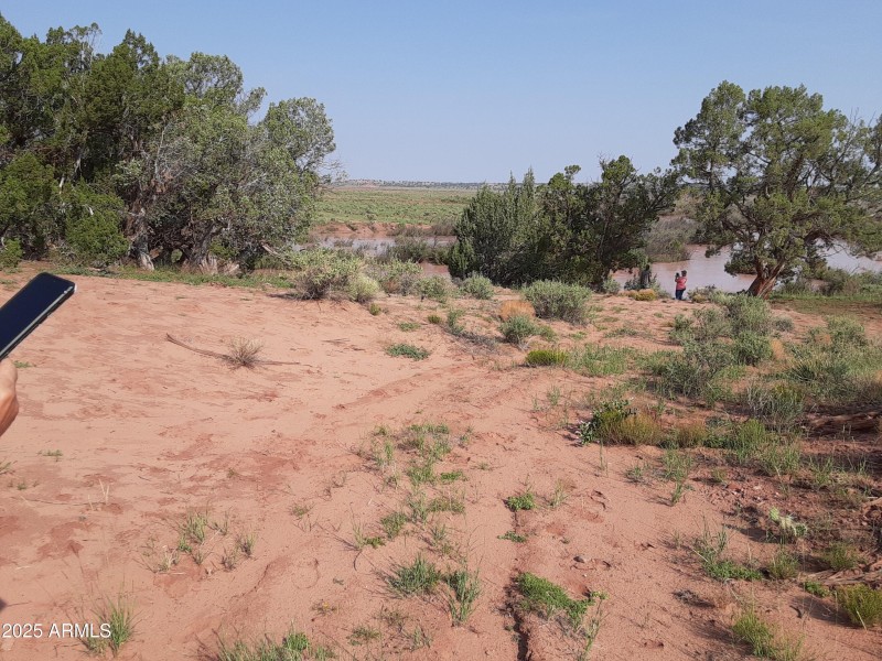 Colorado River 6
