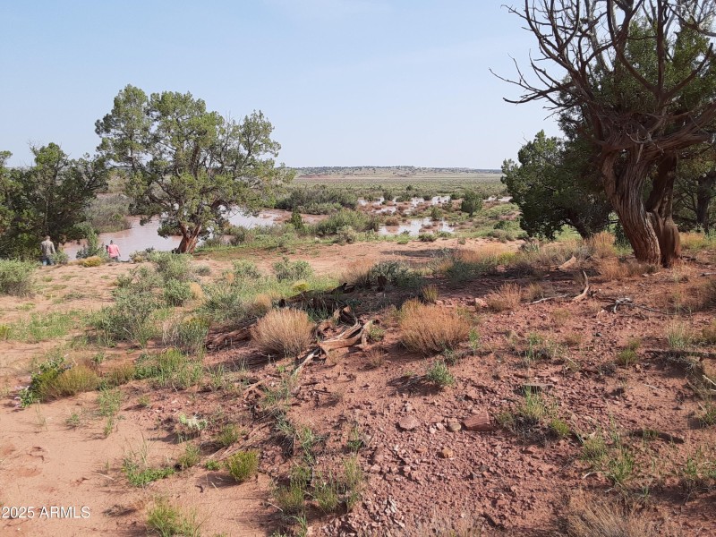 Colorado River 7