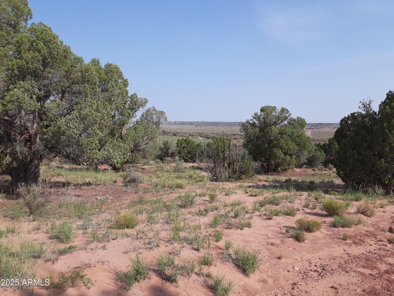 Colorado River 8