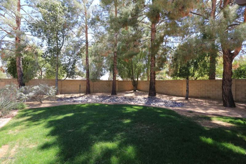 Grass Area (1)