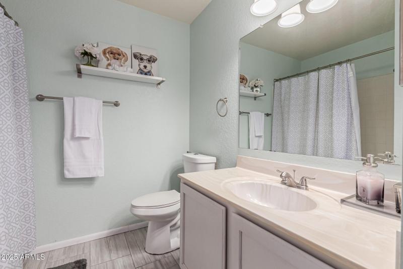 Hall Bathroom