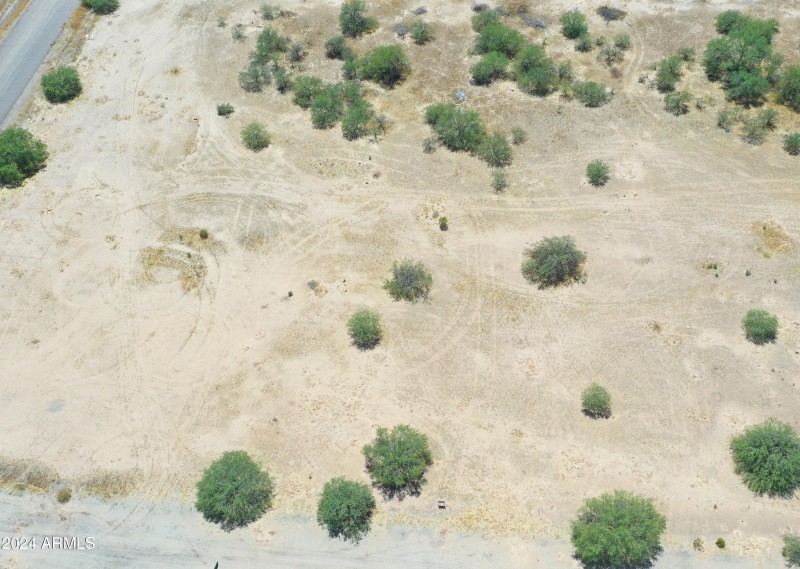 Fawn Aerial