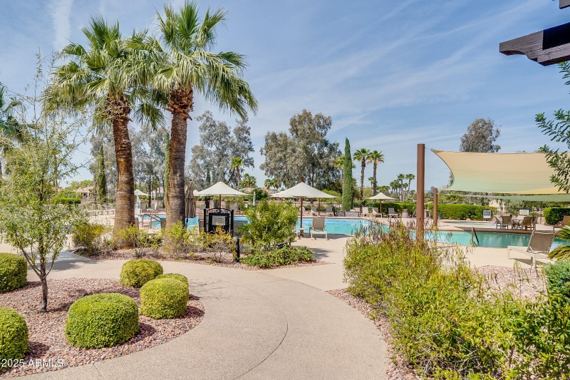 Community Pool