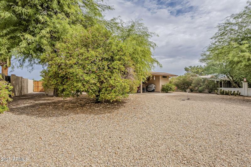 40-web-or-mls-Blue Bonnet-40
